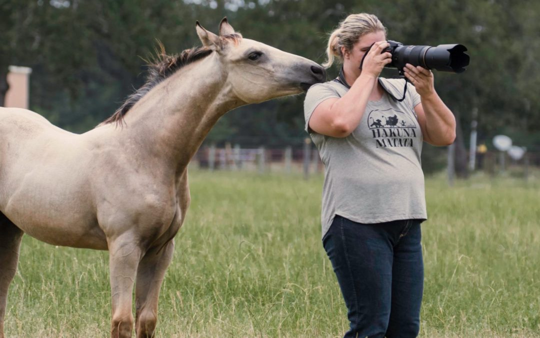 Colt in a field with Melissa