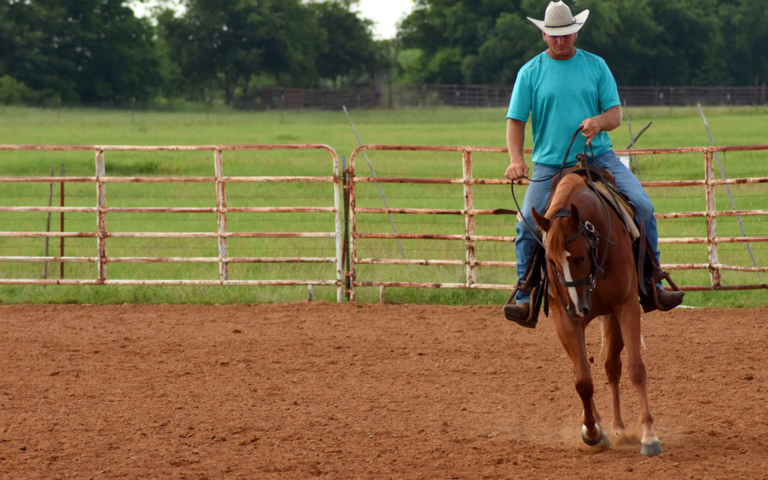 Man riding a horse outside