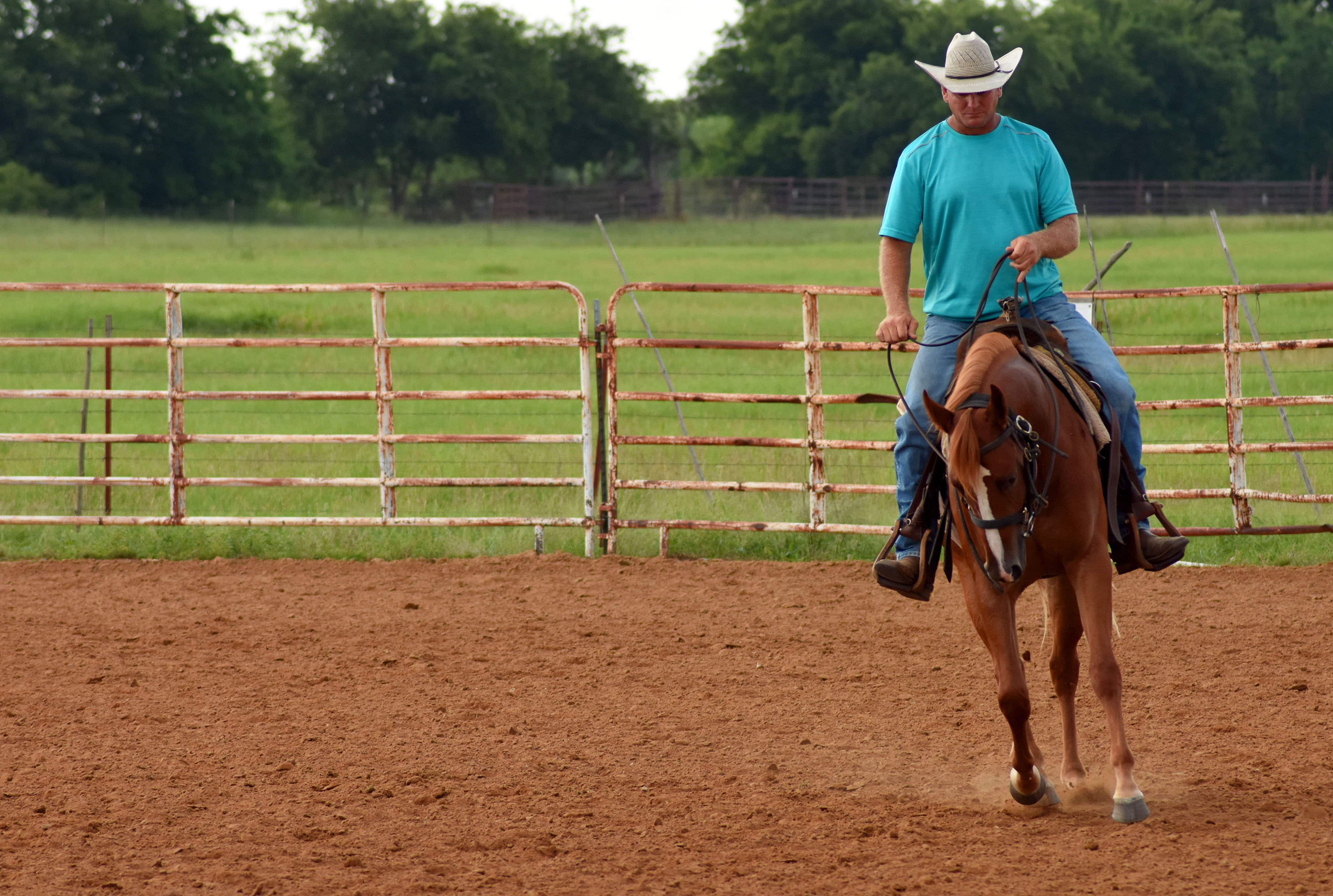 Man riding a horse outside