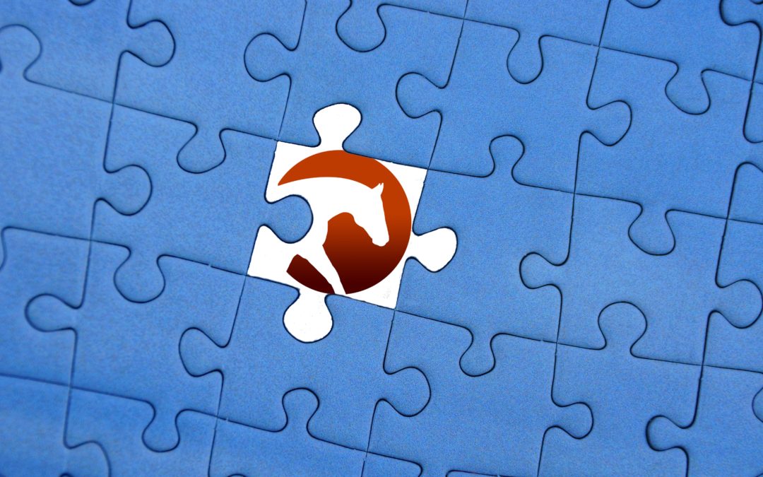 puzzle with Pyrois Media logo