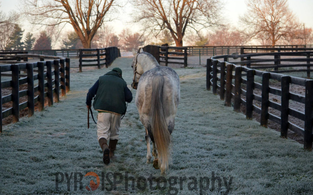 Beyond The Lens: Winter Wonderland