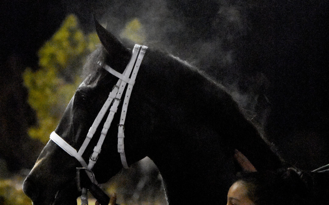 Beyond The Lens: Cowgirls Like Us