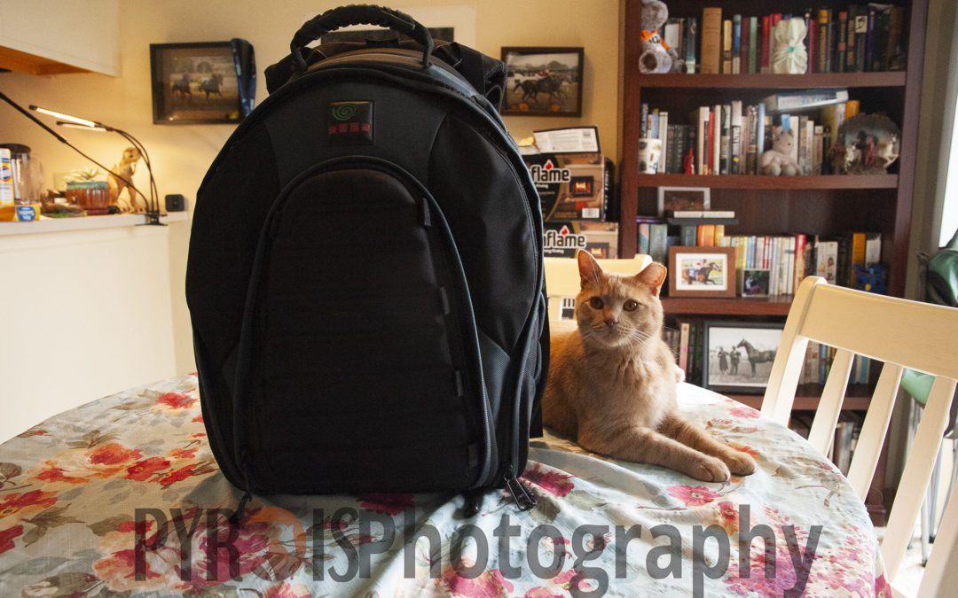 The Pyrois Media camera bag and Bentley the cat.