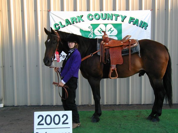 Horses Who Built Me: Snickers