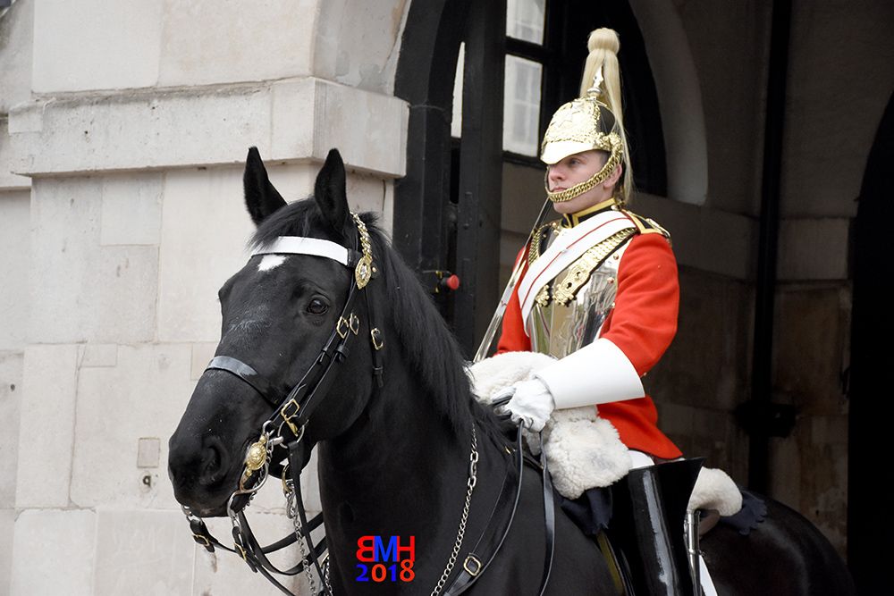Horse and soldier in London