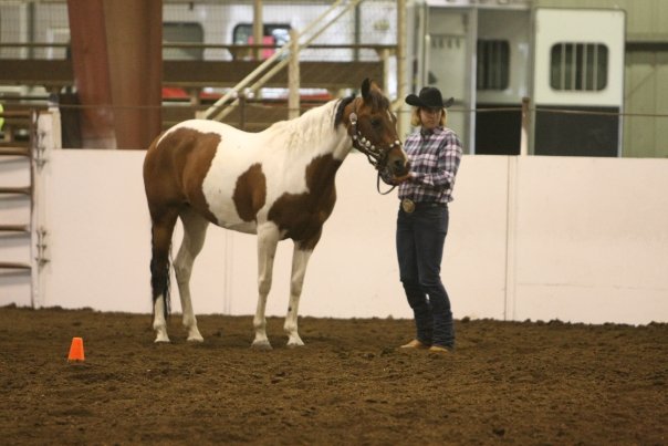 Melissa and her horse Crystal standing at a cone