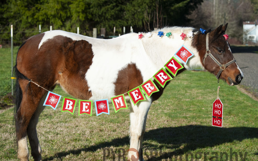 A horse wearing a Be Merry sign.