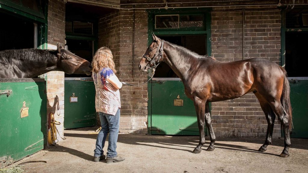 Melissa with two horses