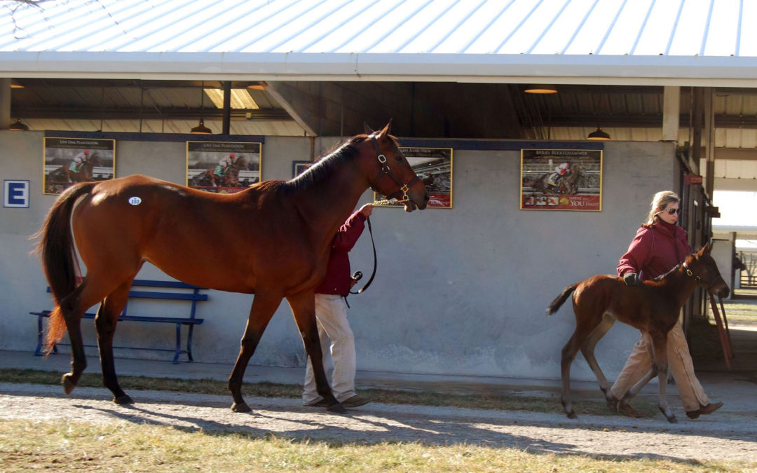 Why You Shouldn’t Be Afraid of Contacting Horsemen & Women