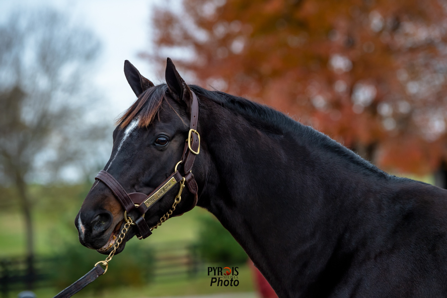 Keeping It In The Family: The Preakness