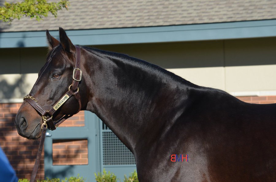 Keeping It In The Family: 2024 Preakness Stakes