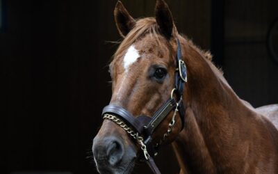 Keeping It In The Family: 2025 Preakness Stakes