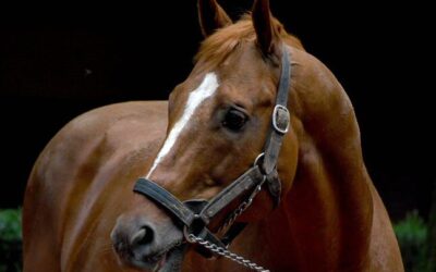 Keeping It In The Family: Belmont Stakes
