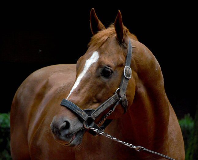 Keeping It In The Family: Belmont Stakes