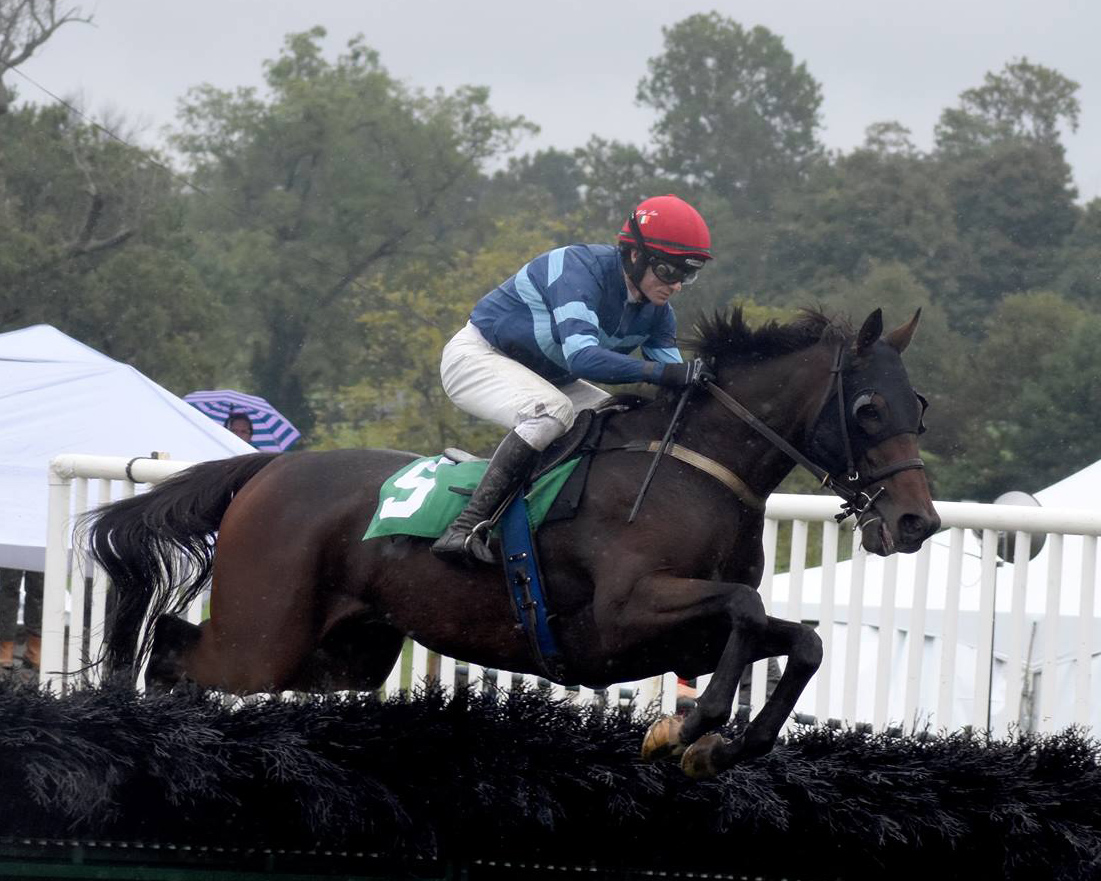 Thoroughbred Daily screenshot of twitter